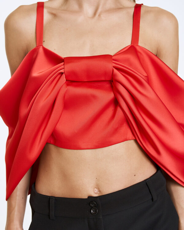 Bustier top with a bow - Access Fashion - Image 5