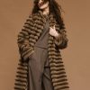 Brouska -