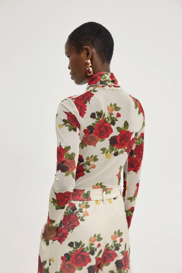 Narcissus body - Hemithea - Image 3