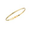 Brouska -