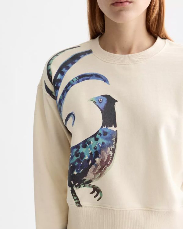 Brouska - SQW25-U9F00873T Brouska -