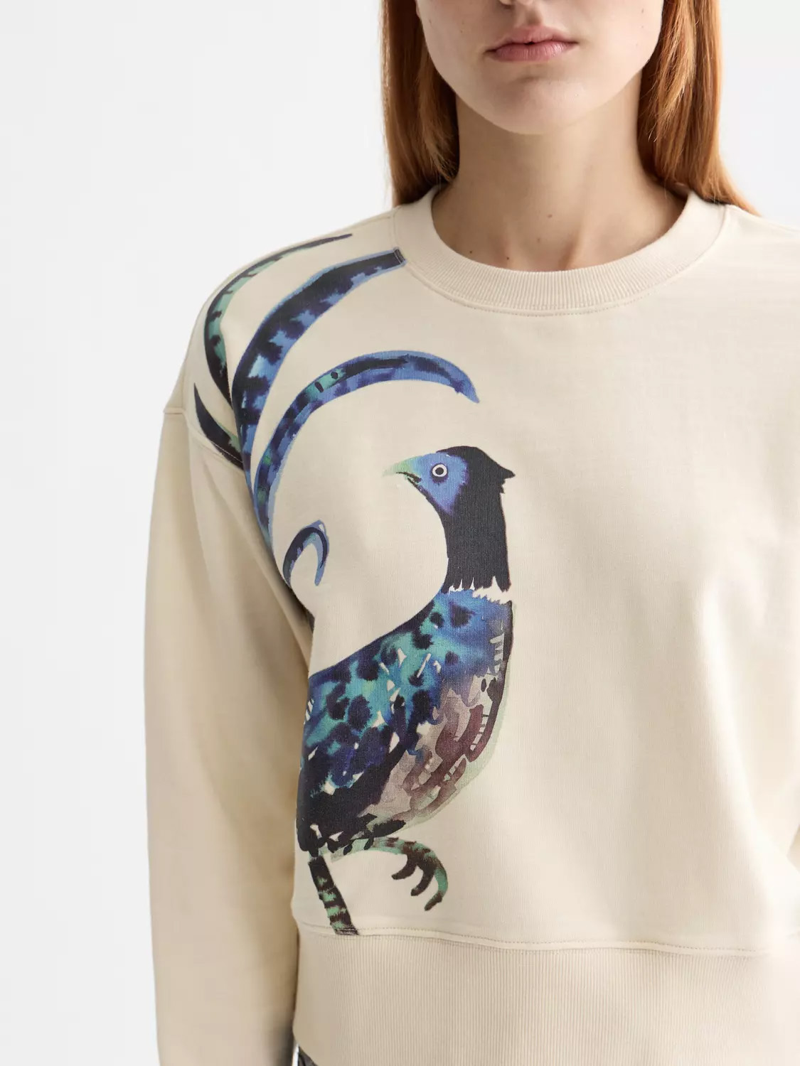 Brouska - SQW25-U9F00873T Artistic bird print sweatshirt - Scotch & Soda - Image 4