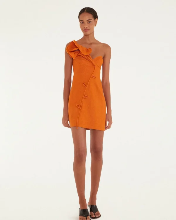 Brouska - FRS26-347774 Brouska -