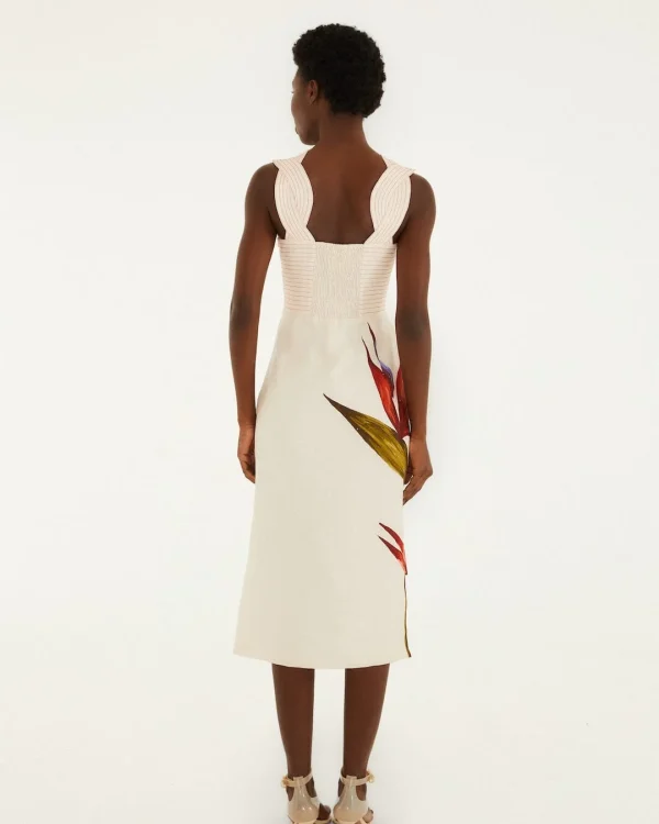 Brouska - FRS26-349090 Brouska -