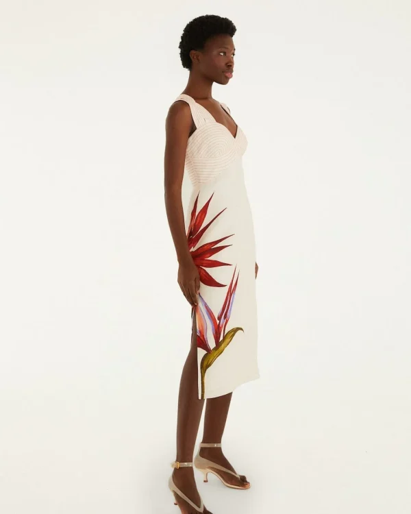 Brouska - FRS26-349090 Brouska -