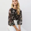 Brouska -